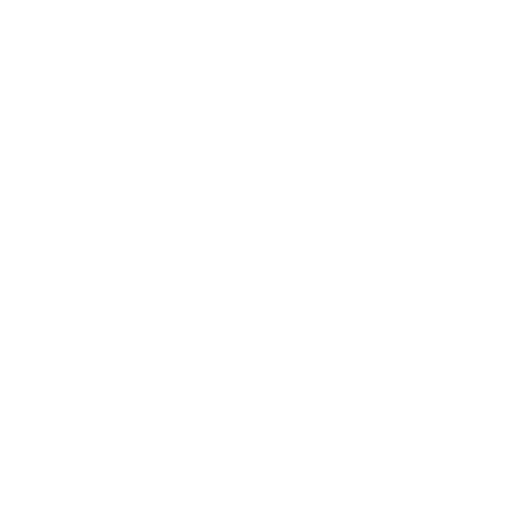 Warranty